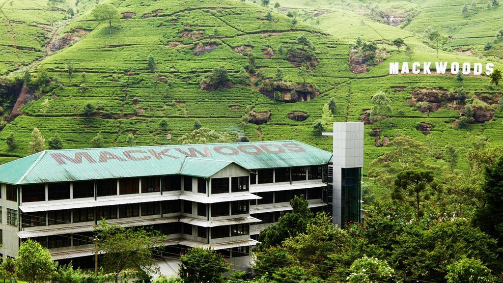 Max Mount View Hotel Nuwara Eliya Kültér fotó